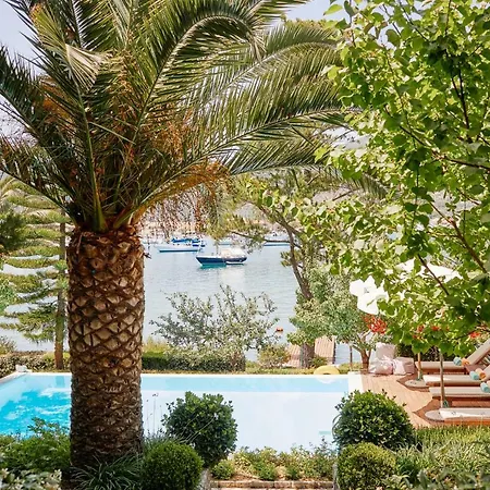 Yalenia * نيدري